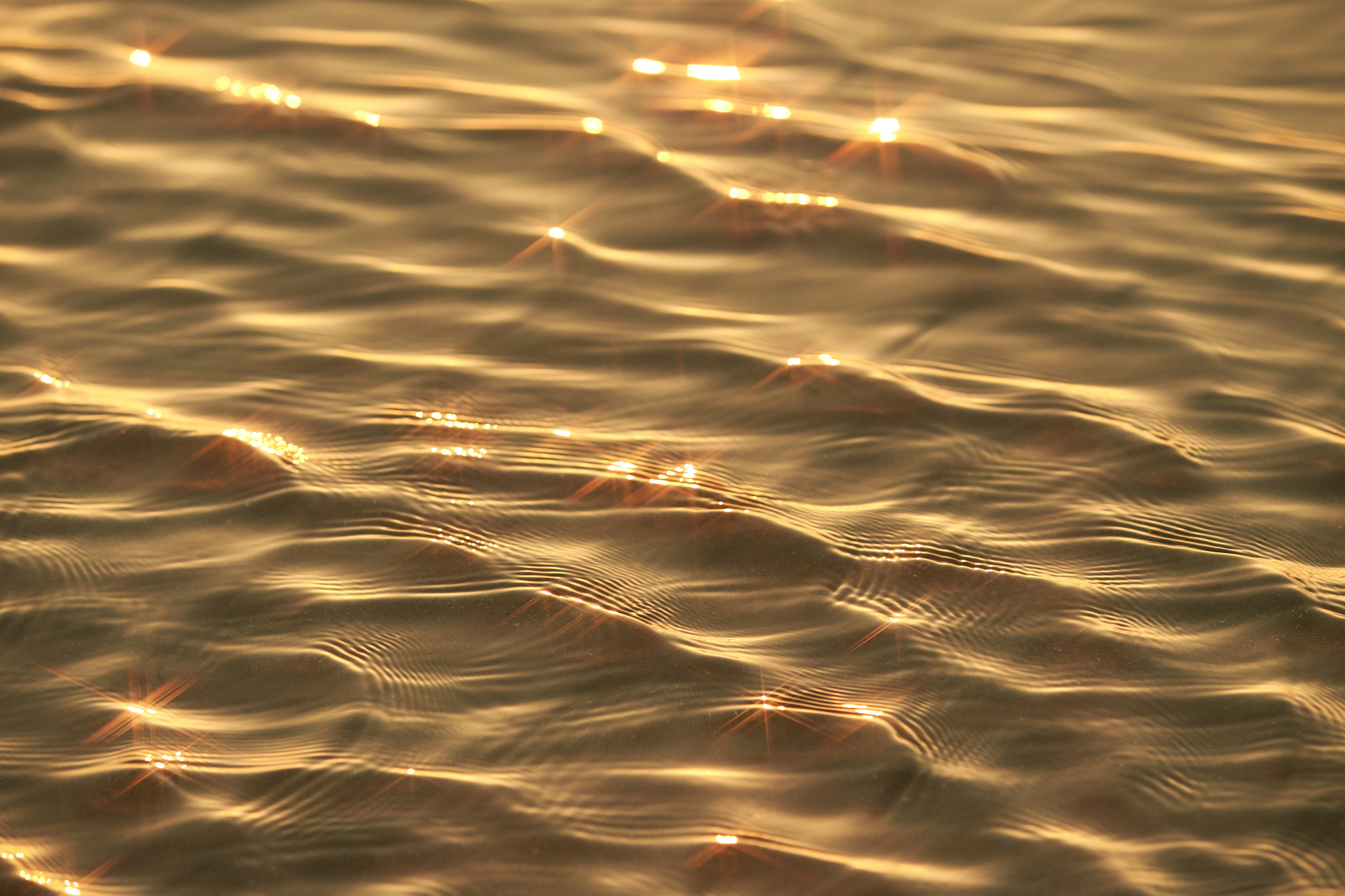 Sunlight rippling across water
