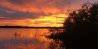 Orange sunset and clouds over a body of water and some bushes