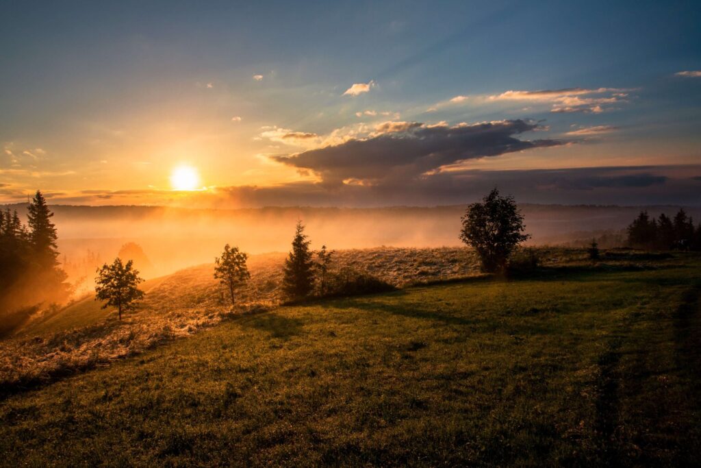 Sunset over a grassy knoll with fog